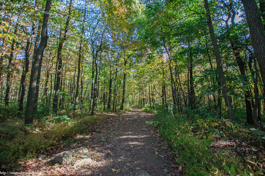 appalachian trail start